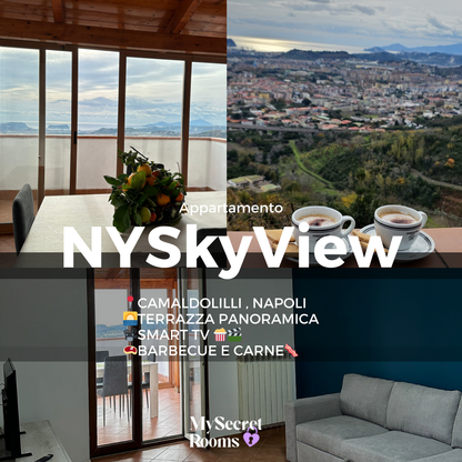 🗽NYSkyView 🌅