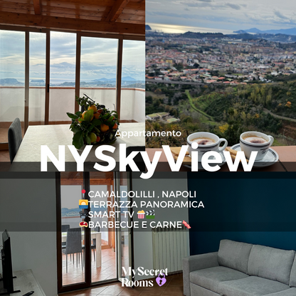 🗽NYSkyView 🌅