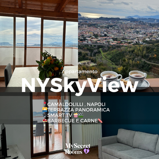🗽NYSkyView 🌅